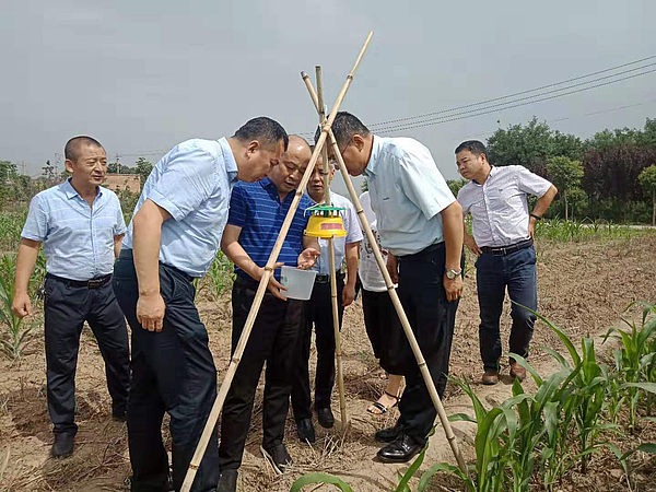 姚海军深入秦汉新城检查草地贪夜蛾监测防控工作