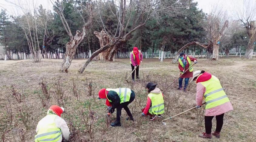 春天到了 绿化养护工作这样干！