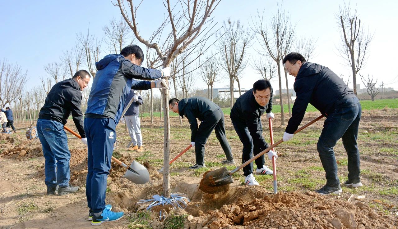2023年秦汉新城春季植树活动在义陵举行