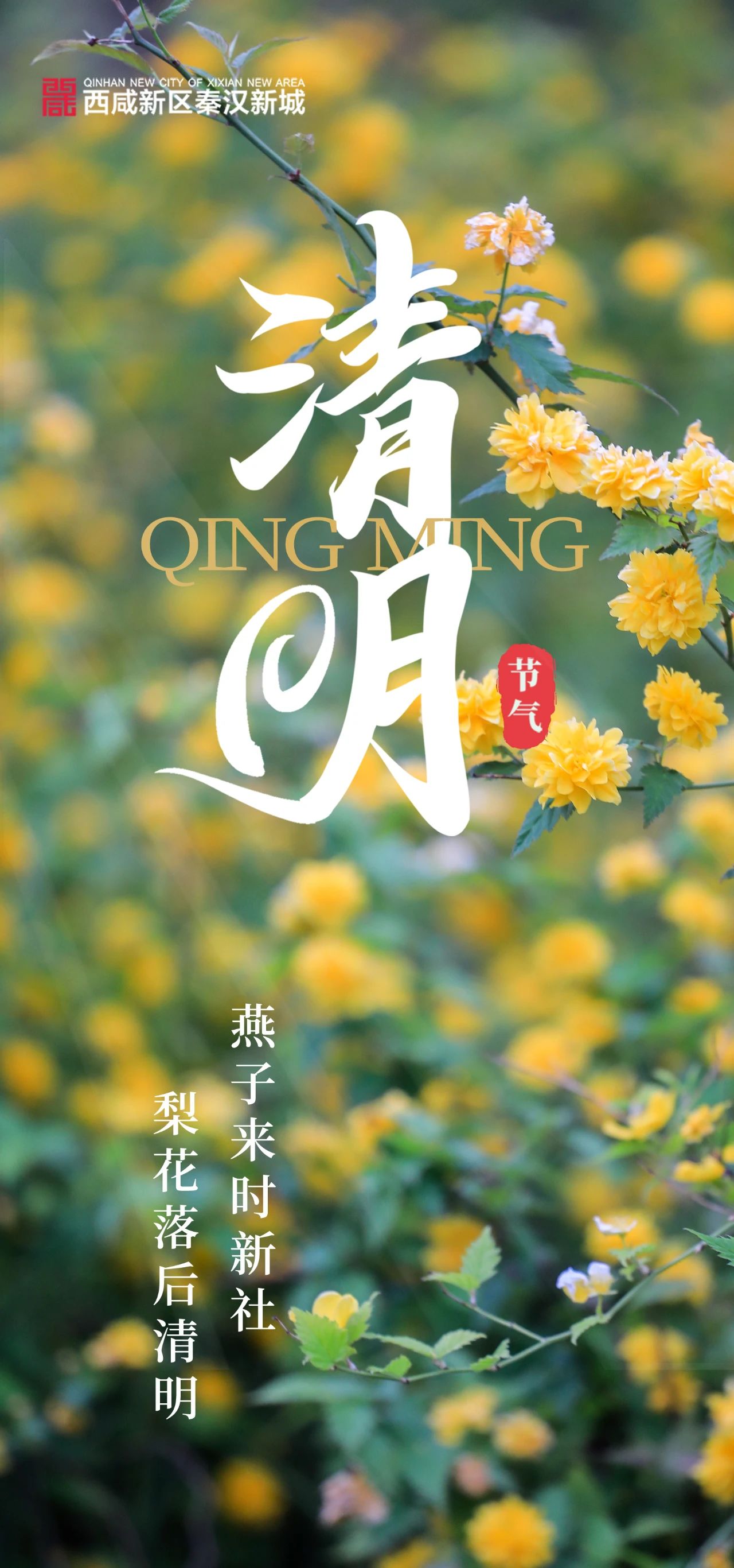 又是一年清明时