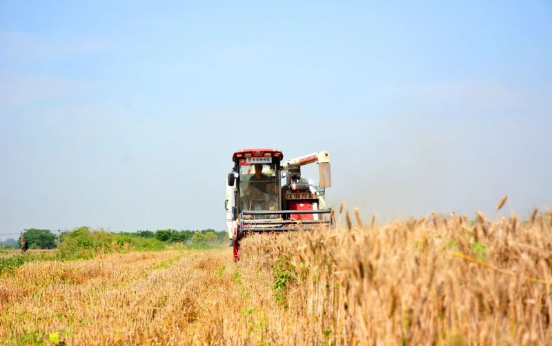 秦汉新城多措并举全力保障小麦抢收工作