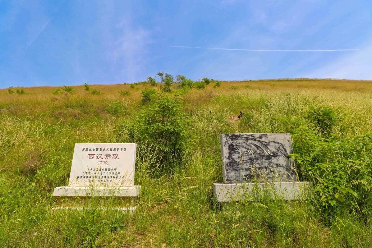 秦汉新城2023年重点文物保护项目——渭陵保护展示工程正式启动