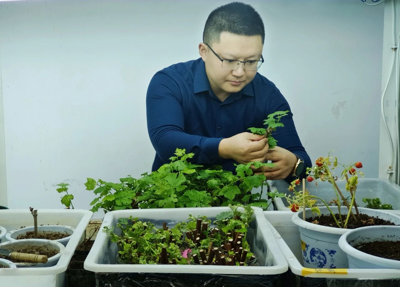 秦汉新城3人上榜2023年省级人才计划入选名单