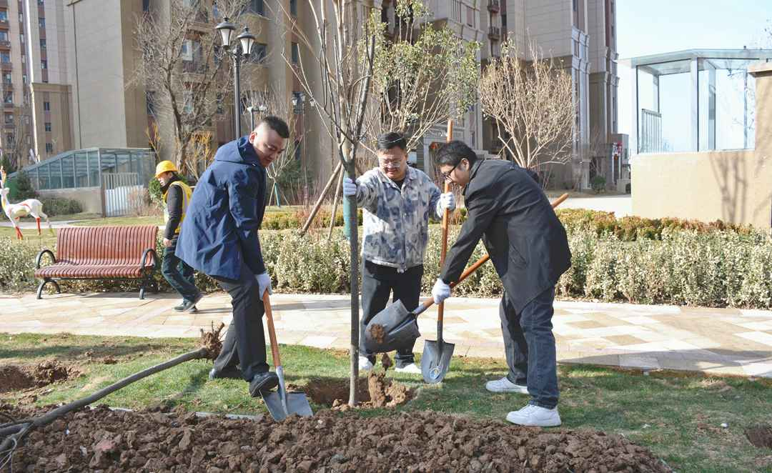 不负春光添新绿！ 秦汉新城广泛开展义务植树活动