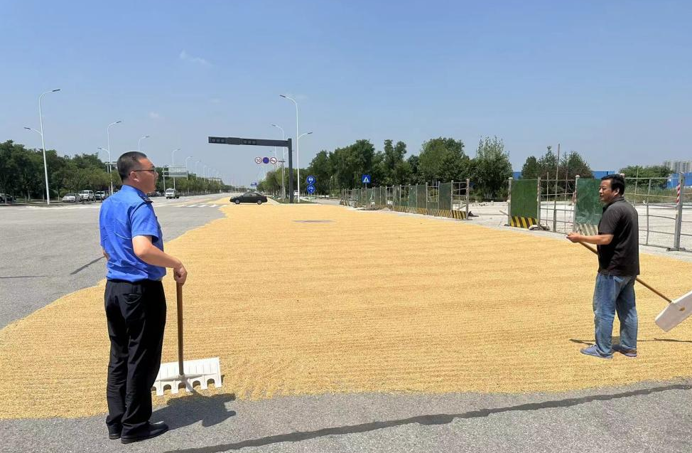 秦汉新城这些地方可以晾晒小麦！
