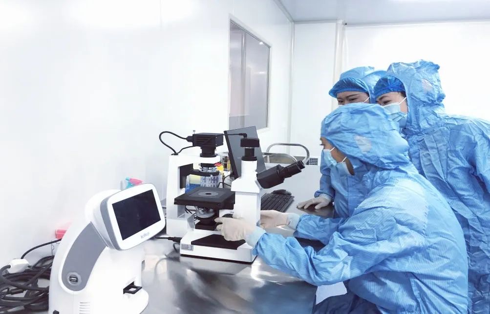 大健康产业！“链”上开花！